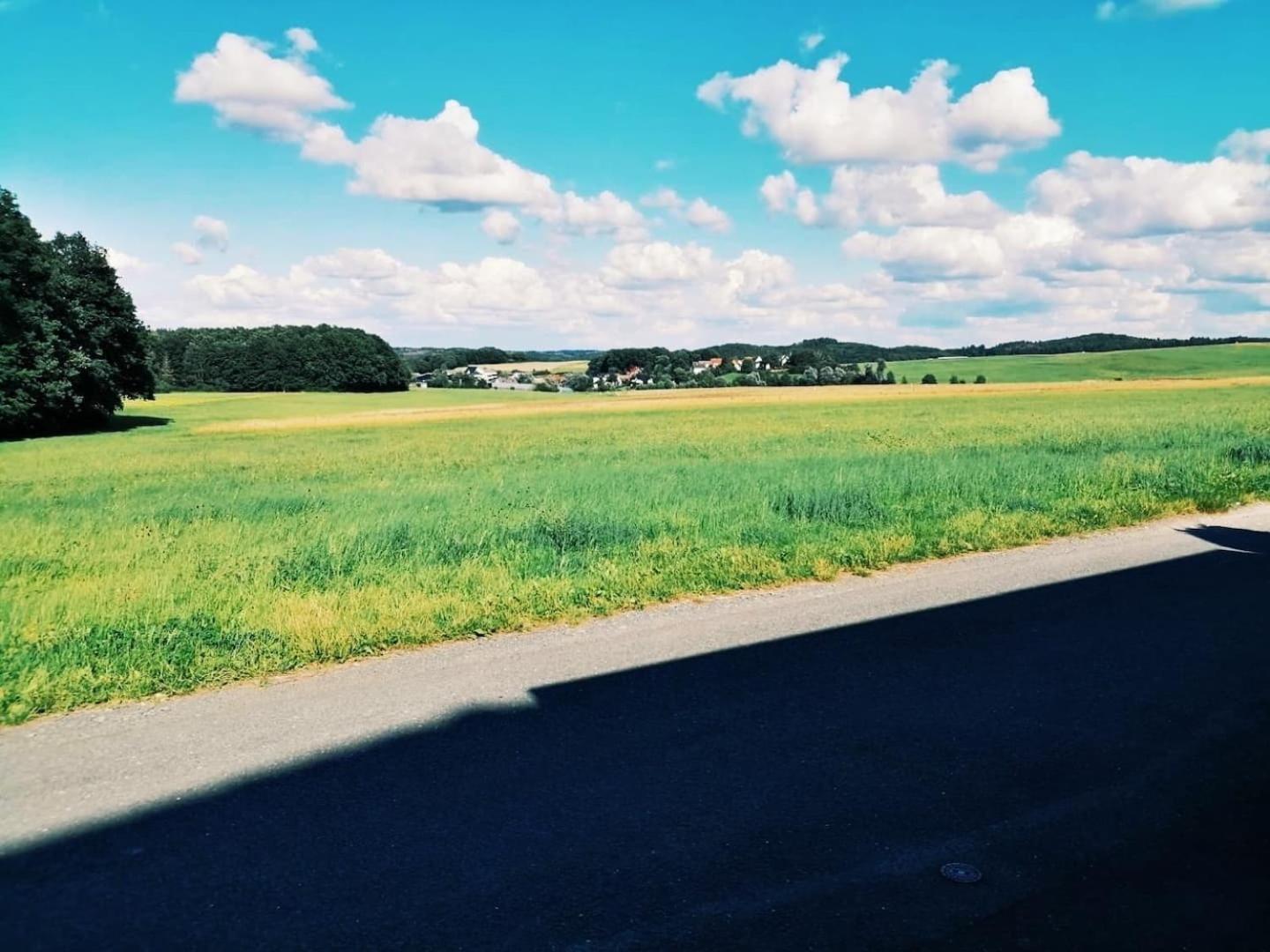Апартаменты 76 Qm Whg Im Eg Haus-Wohlfuehloase Vor Der Haustuer Gladenbach Экстерьер фото